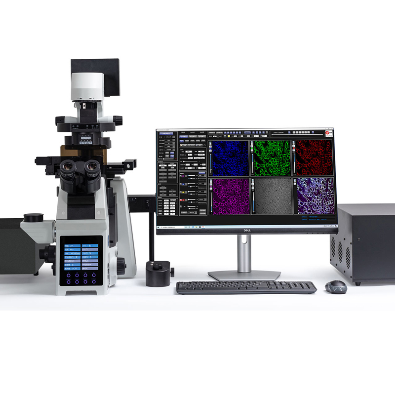 激光扫描共聚焦显微镜