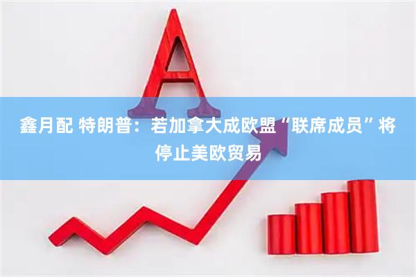 鑫月配 特朗普：若加拿大成欧盟“联席成员”将停止美欧贸易