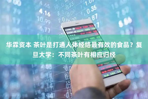 华霖资本 茶叶是打通人体经络最有效的食品?复旦大学:不同茶叶有相应归经