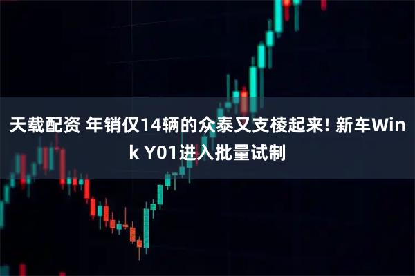 天载配资 年销仅14辆的众泰又支棱起来! 新车Wink Y01进入批量试制